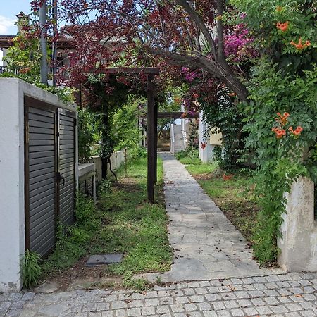 Melina Apartments Νικήτη Εξωτερικό φωτογραφία